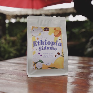 เมล็ดกาแฟ Ethiopia - Sidamo (Single Origin) / เมล็ดกาแฟอาราบิก้า 100% ขนาด 250g ภพรักกาแฟ Pobrakcoffee