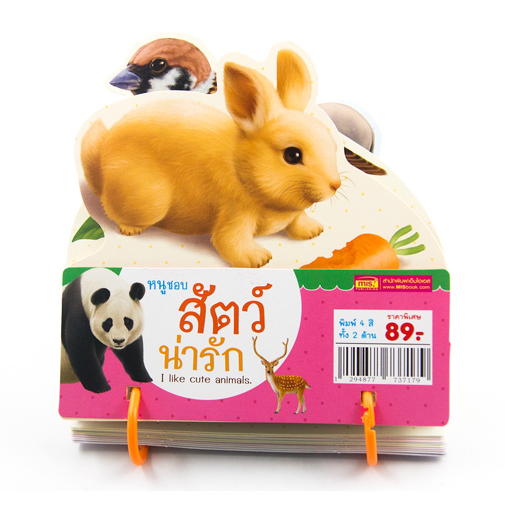 Flashcard แฟลชการ์ดหนูชอบสัตว์น่ารัก พร้อมห่วงคล้องดูเป็นระเบียบ
