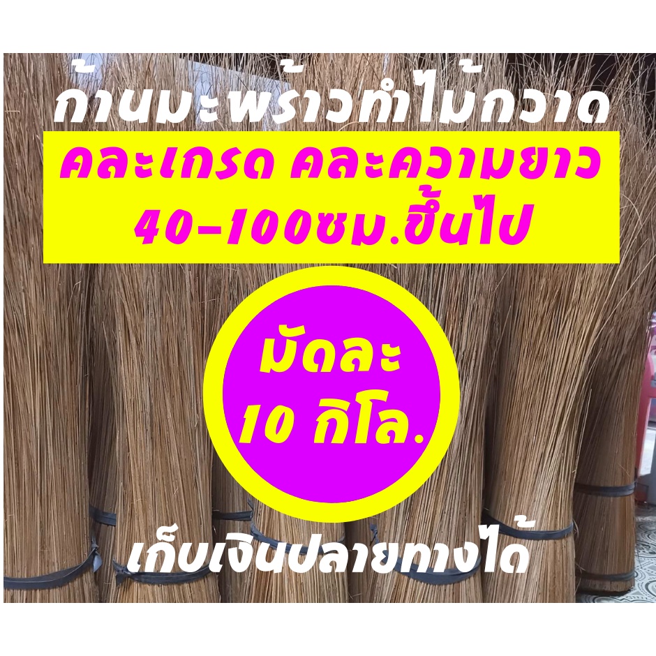 ก้านทางมะพร้าวทำไม้กวาด ยาว 40ซม ถึง 100ซมขึ้นไป 1 กิโลกรัม คละเกรด ก้านเหลาใหม่ ไม่ผุ ไม่ชื้น ไม่ขึ้นรา เก็บเงินปลายทา