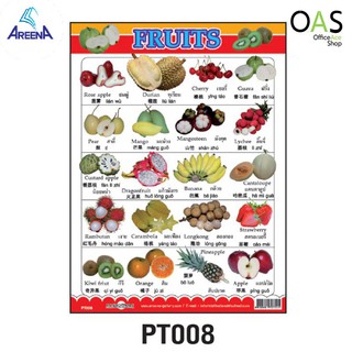 AREENA 3 Language Poster โปสเตอร์ 3 ภาษา 38x51cm PT008 : FRUITS