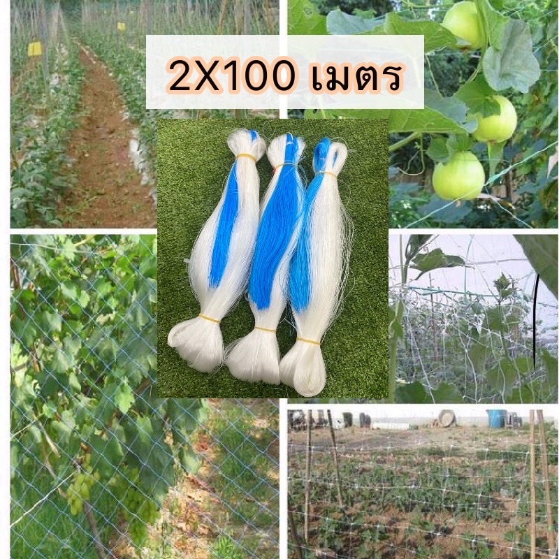 กรอกโค้ด HE4VR2 ลดทันที 25% ตาข่ายปลูกผักขนาด2*100เมตร(สีฟ้า)