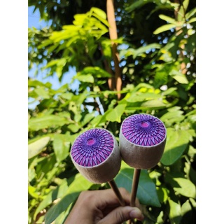 ไม้ระนาดเอก-ทุ้ม เกรดA