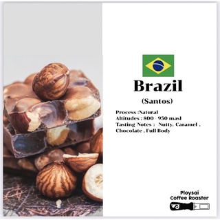 เมล็ดกาแฟ Brazil santos