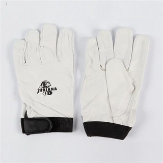 ถุงมือหนังแพะข้อมือติดเวลโก L สีขาว อินเดียน่า ถุงมือยาง Goatskin Gloves Velco Wrist L White Indiana