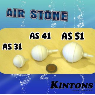 หัวทรายฟองละเอียด AIR STONE by Kintons