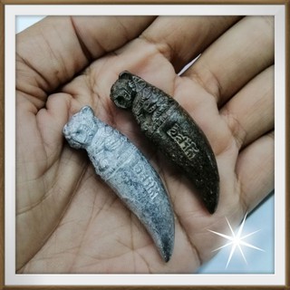 เขี้ยวเสือหลวงปู่ทิม​ เนื้อสนิมเงิน​ เนื้อสนิมแดง