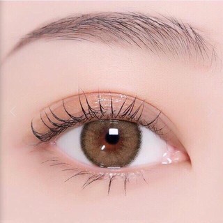 Mini Olivia Light Brown (x) มินิ สีน้ำตาล น้ำตาล Kitty Kawaii ค่าอมน้ำสูง Contact Lens คอนแทคเลนส์ ค่าสายตา สายตาสั้น