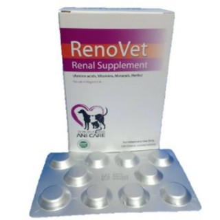 Renovet บรรจุ 100 เม็ด(exp.08/22) ยาบำรุงไตของน้องหมาและแมว
