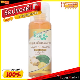 🔥The Best!! ชีววิถี แชมพูสมุนไพรขิง &amp; มะหาด 240มล. Bio Way Ginger &amp; Lakoocha Herbal Shampoo 240ml