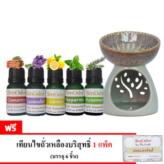 ชุดเตาเผา น้ำมันหอม อโรม่า กลิ่นเพิ่มประสิทธิภาพการทำงาน 10 ml x 5 ( อบเชย,ลาเวนเดอร์,เลม่อน,เปปเปอร์มินต์,โรสแมรี่ )