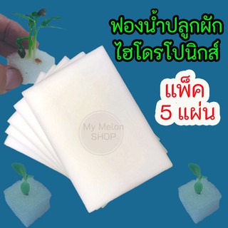 ฟองน้ำปลูกผักไฮโดรโปนิกส์ (แพ็ค 5แผ่น) สีขาว