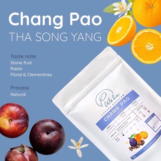 เมล็ดกาแฟคั่ว Chang Pao (ช่างเปา), Dry Process, Light Roast (200g)