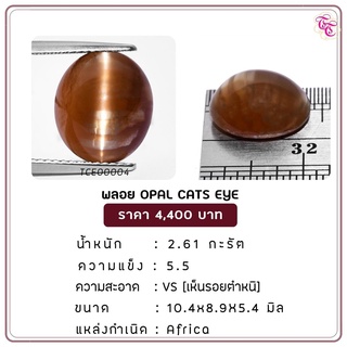 พลอยโอปอแคทอาย Opal Cats Eye ขนาด 10.4x8.9x5.4 มม. พลอยแท้ มีใบรับรอง