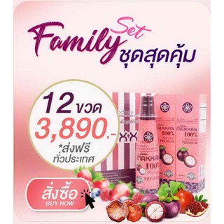 น้ำมังคุดสกัดเข้มข้นเครื่องดื่มน้ำมังคุดออแกนิค ผสมSuper Fruit5ชนิด 12 ขวด ตรา เเม็กเเซน