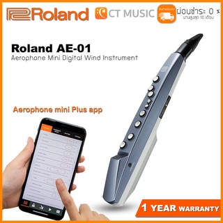 Roland AE-01 Aerophone Mini Digital Wind Instrument