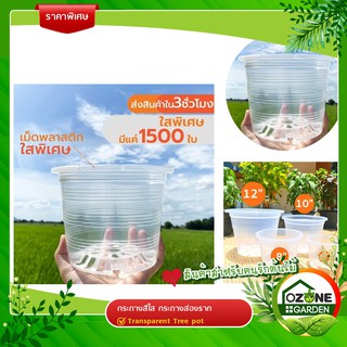 กระถางใส กว่า ใสจนมองไม่เห็น กระถางส่องราก Transparent Tree pot