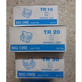 เทอมินอล BIGONE tr10-200