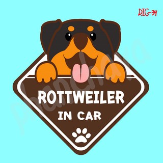 DIC34 สติ๊กเกอร์ ติดรถ Rottweiler Dog In Car สติ๊กเกอร์ติดรถ แต่งรถ car sticker