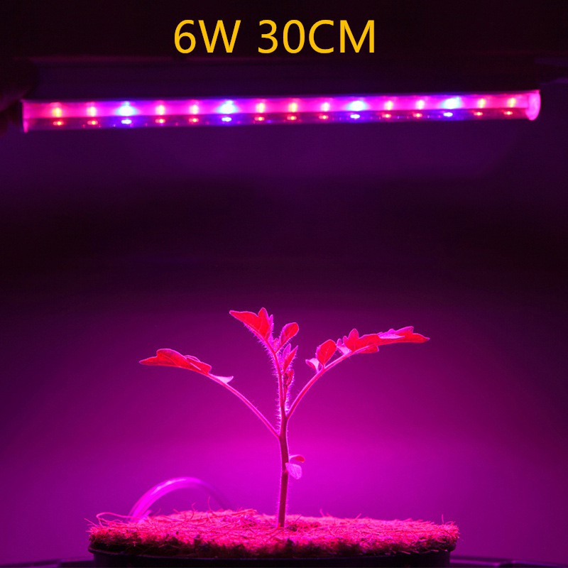 ลดราคา ชุดหลอดไฟLED T5 ไฟ Grow Light 6W 30CM 220V ไฟปลุกต้นไม้ ไฟช่วยต้นไม้ตัวเร็ว แถมสายไฟ220V1.8เมตรให้ 1/PCS #ค้นหาเพิ่มเติม ถ่านชาร์จ ไฟLED แบตเตอรี่ Bmax สายชาร์จ สายคีบแบตเตอรี่