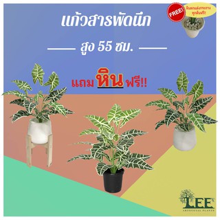 (ต้นไม้มงคล!) ต้นแก้วสารพัดนึก สูง 55 ซม. #ต้นไม้ปลอมตกแต่งบ้าน Leeartplants