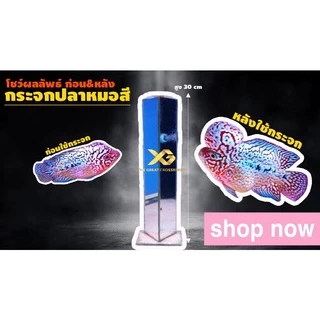 กระจกปลาหมอสี สูง 30 เซนติเมตร มีกระจกปิดด้านบน เจียรขอบ ลบคมอย่างดี งานละเอียด