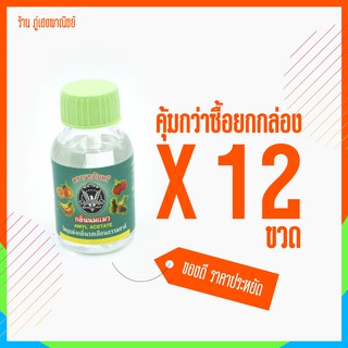 [ราคาส่ง] กลิ่นนมแมว ตรานกอินทรี ANYL ACETATE x 12 ขวด (ยกกล่อง)