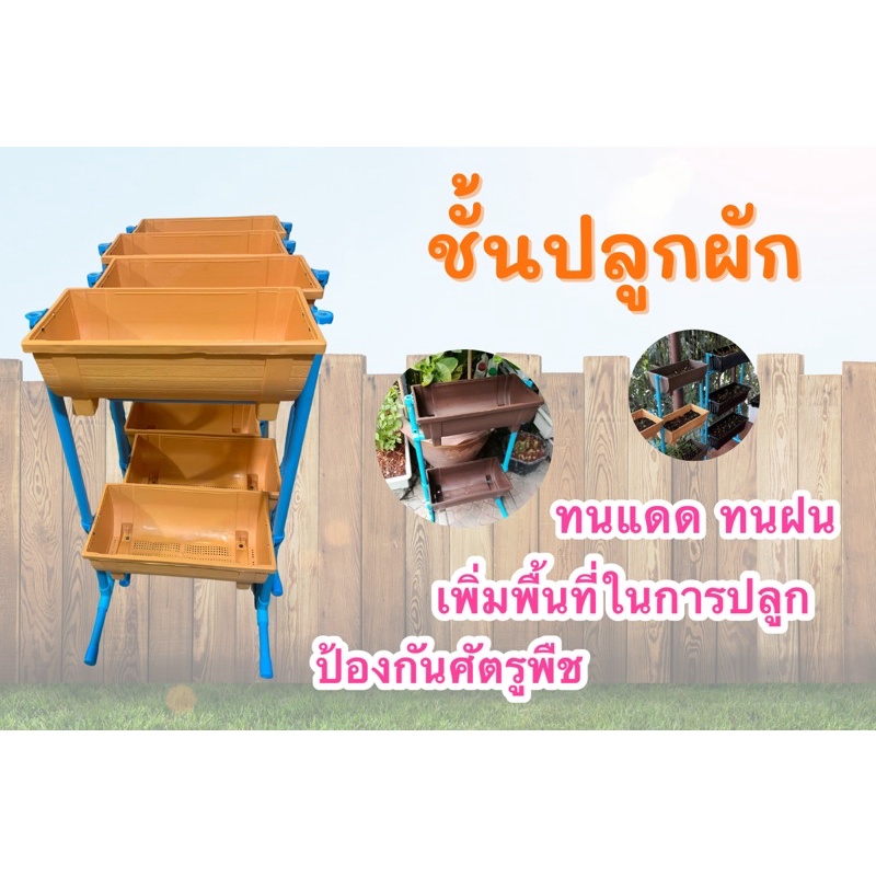 My Image 34