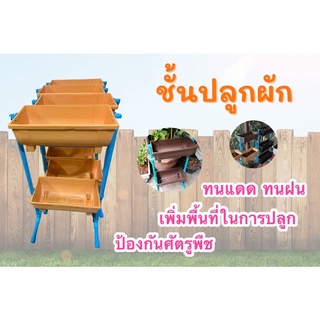 แปลงผักแนวตั้ง กระถางชั้น กระถางต้นไม้ กระถางปลูกผัก งาน Diy ทนแดดทนฝน verticalplant แปลงผัก