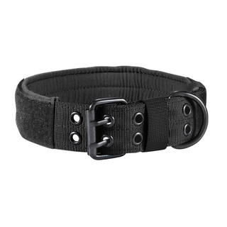 puppy training collar