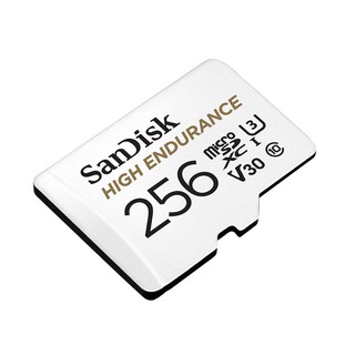 Sandisk High Endurance 256GB Card