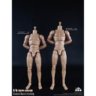 ฟิกเกอร์ โมเดล ของสะสม งานแบช COOMODEL BD007 / BD008 Standard &amp; High Standard Muscle Arm Body