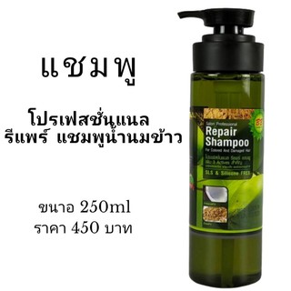 แชมพูรีแพร์น้ำนมข้าว  Repair Shampoo