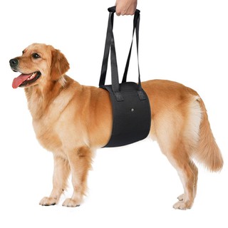 Pet Harness: ปลอกคอรัดอกสุนัข ป้องกันอันตรายจากการกระชาก ฮาเนสสุนัขหมาแบบรัดอกสุนัขสายรัดพยุงขาสัตว์เลี้ยง