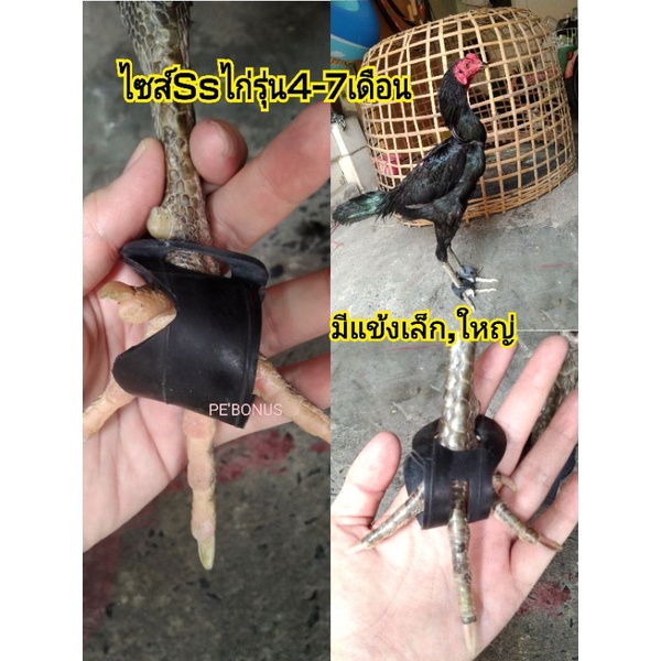 Ssรองเท้าไก่ไซส์ไก่รุ่น4-7เดือนใส่ได้