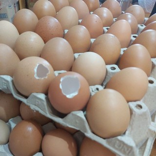 เปลือกไข่ไก่เจาะรู ขายเป็นชุด30ฟอง 35บาท ขนาดไข่ไก่No.1