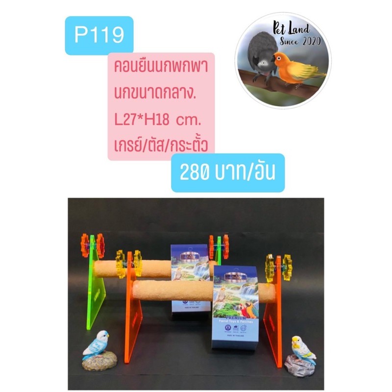 คอนลับเล็บ คอนยืนอะครีลิก นกขนาดกลาง พกพา คลาซิก้า Classica P119