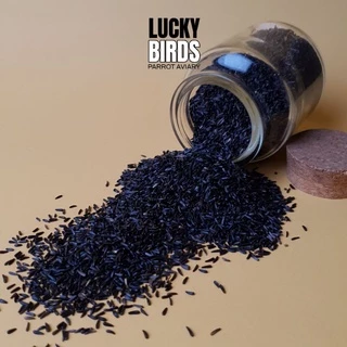 ไนเจอร์ niger seed ธัญพืชสำหรับนก นกแก้ว สัตว์เลี้ยง LUCKY BIRDS ขนาด 100g และ 250 กรัม