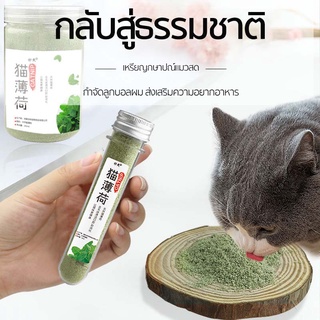 Catnip กัญชาแมว ออร์แกนิคแบบหลอด บบผงขนาด  50/260ml แคดนิปแมว แคตนิปแมว กัญชาหลอด SB7060