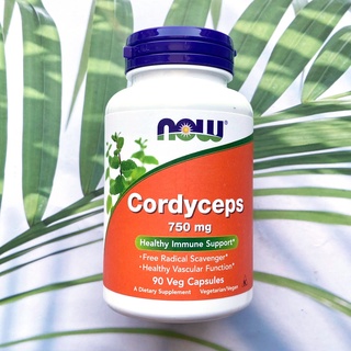 ถั่งเช่าออแกนิค Cordyceps 750 mg 90 Veg Capsules (Now Foods®) เสริมสร้างภูมิคุ้มกัน เสริมการทำงานของหลอดเลือด