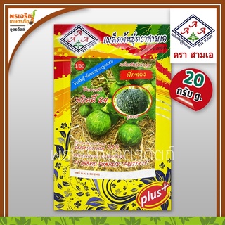 เมล็ดพันธุ์ฟักทอง ฟักทองอ่อน พริตตี้ 24 3A F1 (20 กรัม) เมล็ดฟักทองอ่อนลูกผสม เมล็ดพันธุ์ผักสวนครัว ตราสามเอ