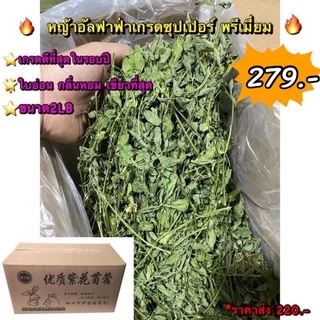 🔥 หญ้าอัลฟาฟ่านำเข้าคัดพิเศษ 🔥เกรดดีที่สุดในรอบปี 1 kg. (รวมกล่อง) หญ้ากระต่าย อัลฟาฟ่า อาหารกระต่าย