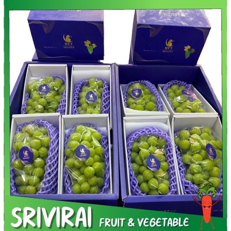 ยกลัง💚 องุ่นไซมัสคัตเกาหลี จีน ไซมัสคัทนกแก้ว องุ่นไซมัสคัท (shine muscat) องุ่นไซมัสแคท HFT เกรดพรีเมี่ยม 💚