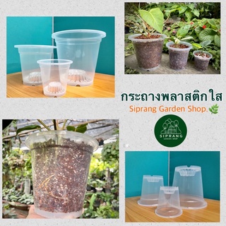 ราคากระถางใส/กระถางพลาสติกใสพรีเมี่ยม Siprang Garden Shop  🪴 สำหรับต้นไม้ที่คุณรัก ❤️