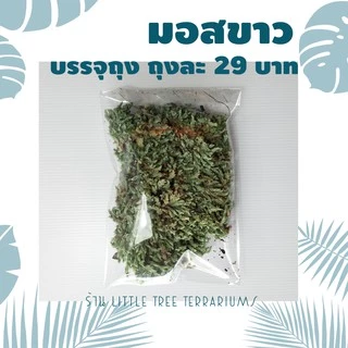 มอสแห้ง ถุงละ 29 บาท แถมฟรีคู่มือปลูกมอสทุกออเดอร์