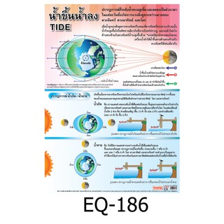 น้ำขึ้นน้ำลง EQ-186 สื่อโปสเตอร์ภาพ กระดาษ หุ้มพลาสติก