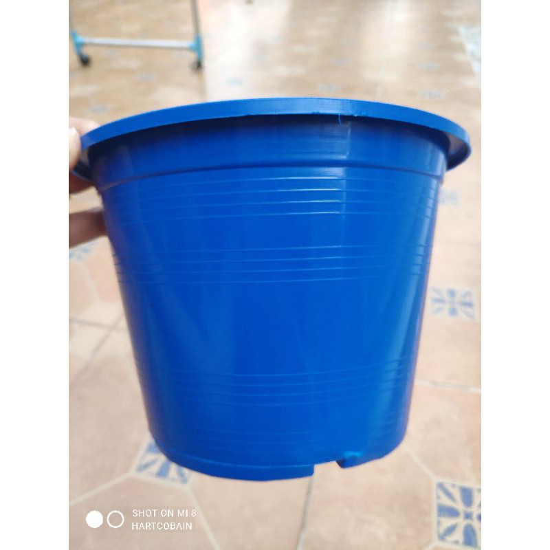 กระถางสีพาสเทล คละสี แพคละ 10 ใบ และ 5 ใบ ขนาด 6 และ 8 นิ้ว - รูปที่ 4