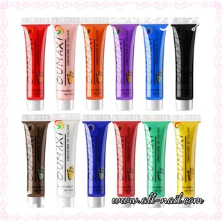 สีอะคริลิคเพ้นท์เล็บ สีเพ้นท์เล็บ 12สี