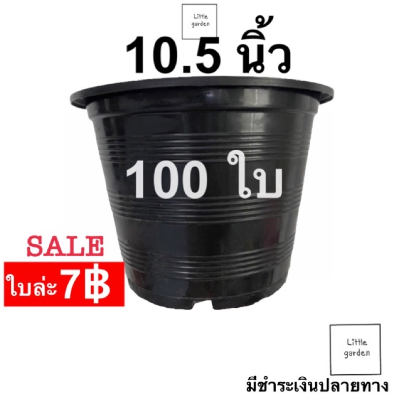 กระถางต้นไม้ 10.5 นิ้ว 100 ใบ