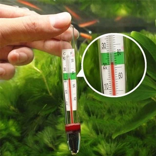 ที่วัดอุณหภูมิ​ตู้ปลา​ อุณหภูมิที่ดี20-28องศา