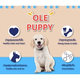 Ole รสเนื้อ นม ไข่และผัก ขนาด 8 kg. อาหารเม็ดสำหรับลูกสุนัขทุกสายพันธุ์อายุ 2 เดือน